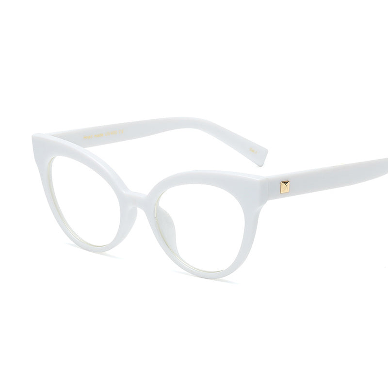 Thick Framed Fashion Glasses